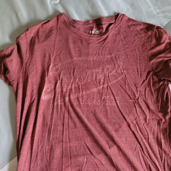 Triumph Brand Light Washed T Shirt - Picture 2 of 4
